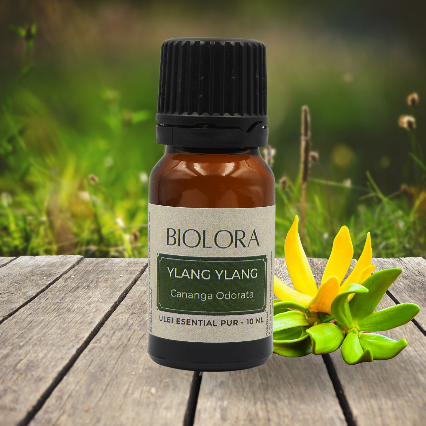 Ulei esential de Ylang-Ylang