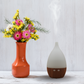 Difuzor Aromaterapie uleiuri esentiale ultrasonic