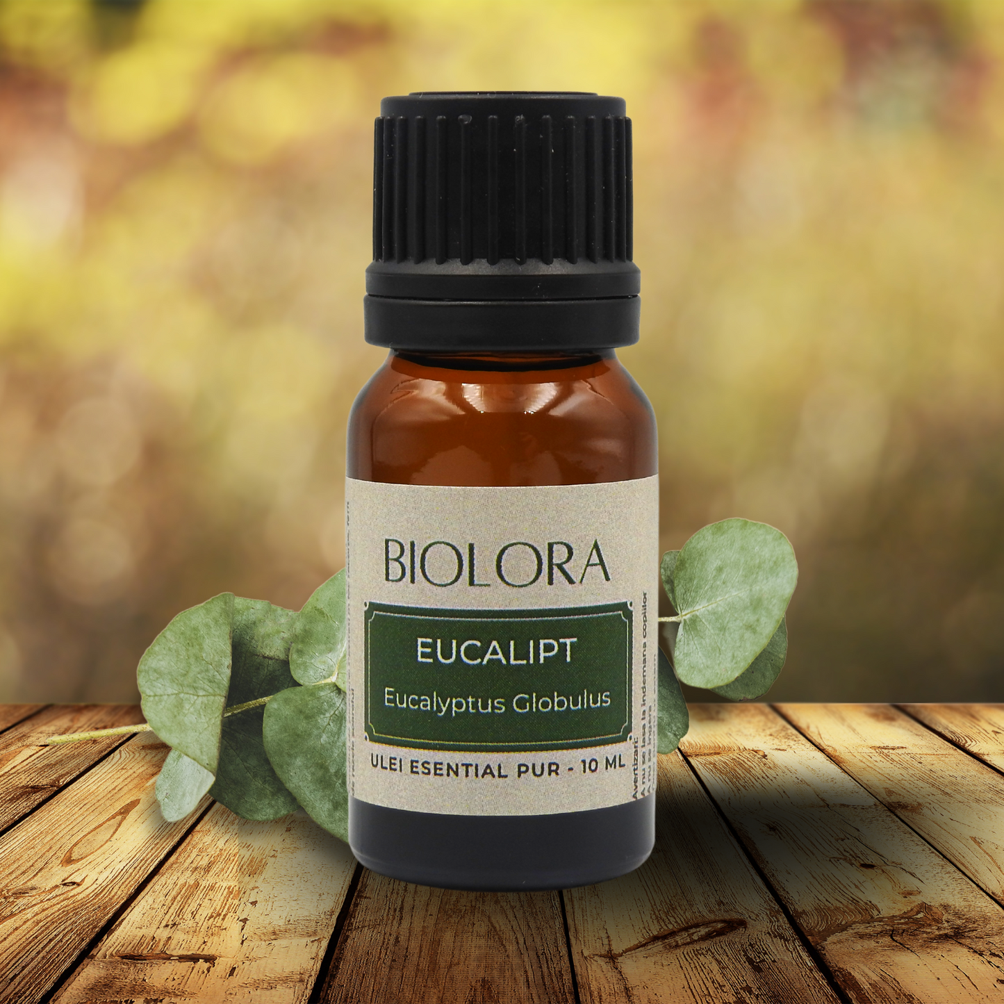 Ulei Esential de Eucalipt Biolora, aromaterapie, puritate 100%, nediluat, 10 ml
